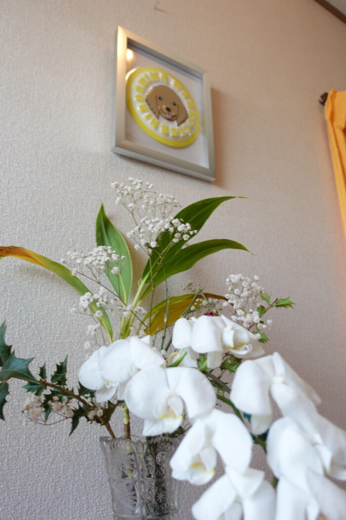 でこぼこアート（３D立体フォトフレーム）壁掛けにしてみる