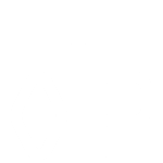 オリジナル製品オプション