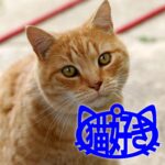 猫好きーホルダー/犬好きーホルダー